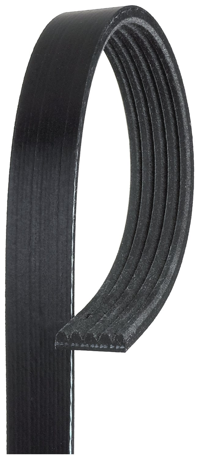 Micro V-Belt Ford Focus,Kuga,Hyuundai i20,Kia Picanto,Rio, Toyota Corolla (PQ-5PK890)