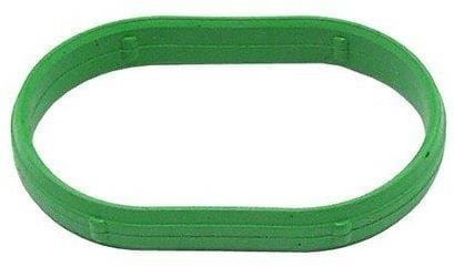 Gasket Intake Manifold Vw Golf,Jetta Iv,A3 1.8 (102534Hp)