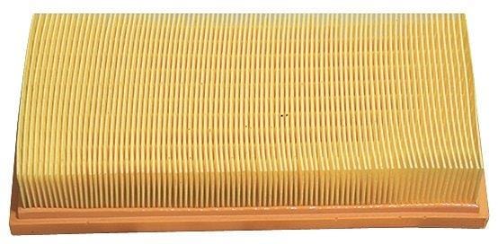 Air Filter Ag1099 VW Polo 9N 02-09 1.416V-1.6 8V-(109041) | Buy
