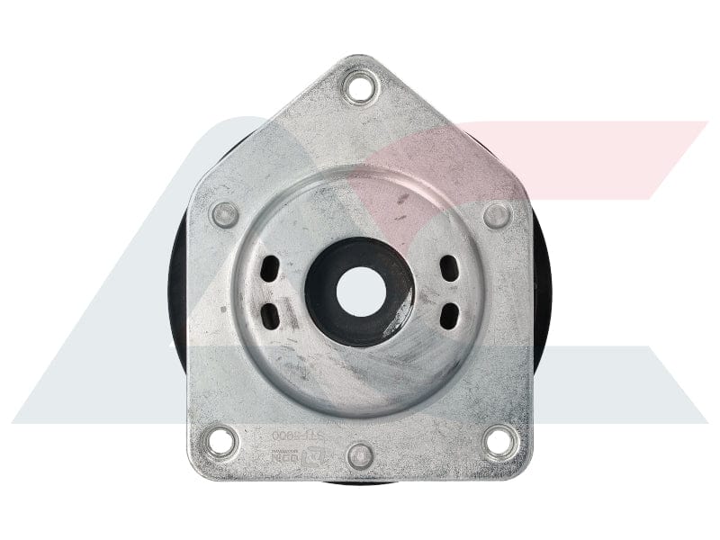 I-Strut Mounting Front Mercedes A Class W169 04 To 12 (STF5900)