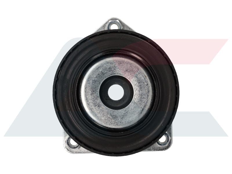 I-Strut Mounting Front Mercedes A Class W169 04 To 12 (STF5900)