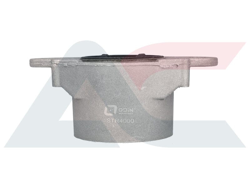 I-Strut Mounting Rear Ford Fiesta 01 To 08 (STR4000)