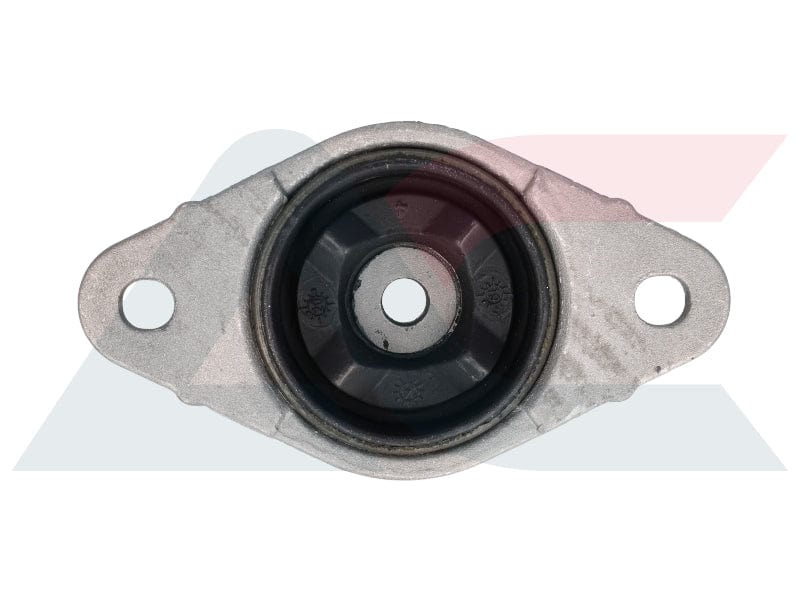 I-Strut Mounting Rear Ford Fiesta 01 To 08 (STR4000)