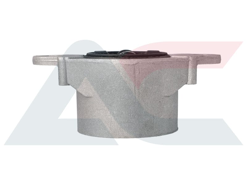 I-Strut Mounting Rear Ford Fiesta/Ecosport (STR4002)