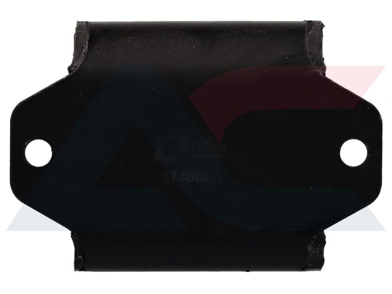 I-Transmission Mounting Nissan 1400 80 To 93 (TM6001)