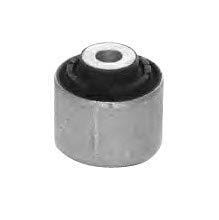 Audi A4 Front Lower Control Arm Bush (19434AP)