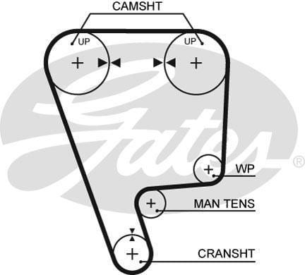 Timing Belt Honda Crx 1.6I Zc - Modern Auto Parts