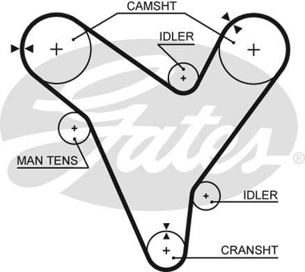 Timing Belt Ford Telstar,Mazda 626 (Kl,Kf) - Modern Auto Parts