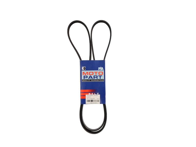 Micro V Belt (6PK1600M) at Modern Auto Parts!