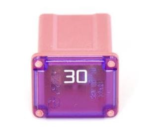 I-Fuse Link Tiny 30A Female (Ongashadile)