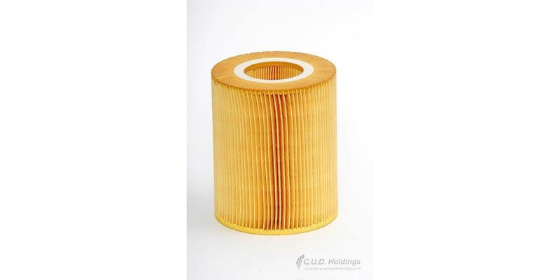 AG1019 Air Filter M166 '2000-On (GUD) - Modern Auto Parts