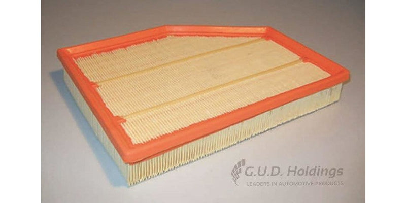 AG1376 Air Filter 523I/525I/530I Z4 M (GUD) - Modern Auto Parts