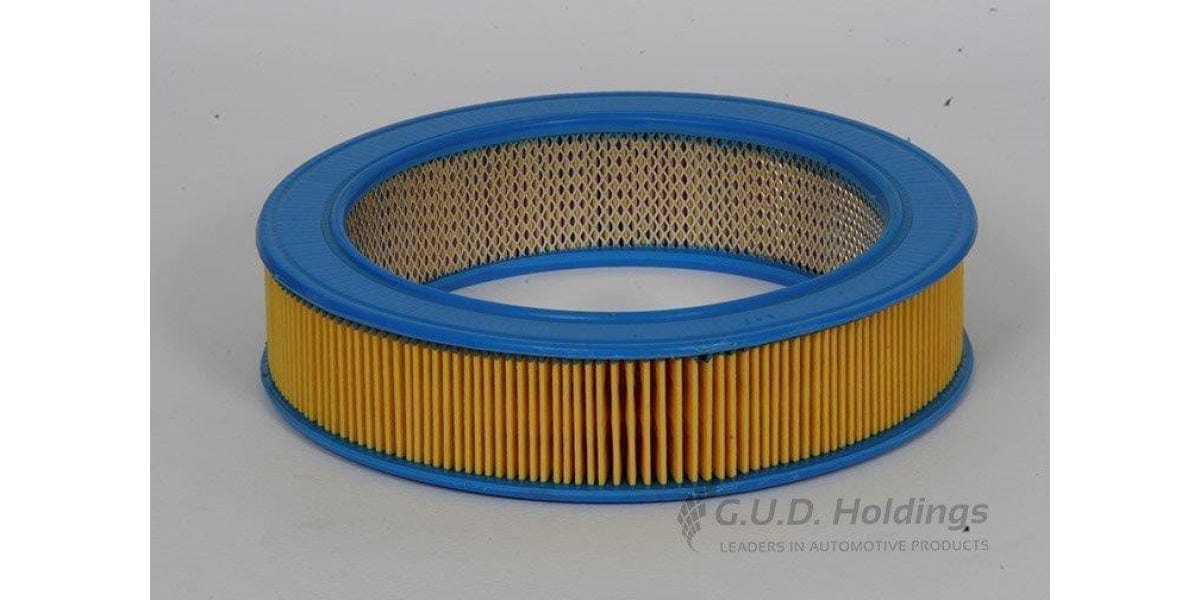 AG380 Air Filter Fiat/Ren/Ford/Vaux (GUD) - Modern Auto Parts