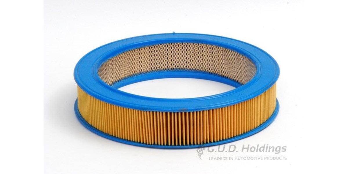 Ag384 Air Filter Ford/dodge (Gud)