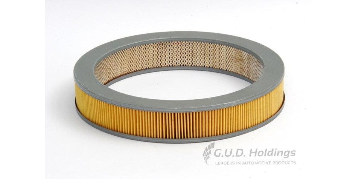 Ag704 Air Filter Nissan (Gud)