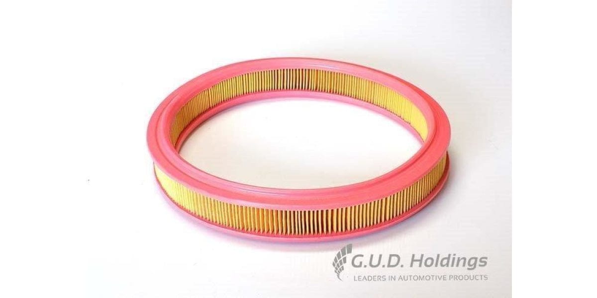 AG825 Air Filter Ford/Mazda (GUD) - Modern Auto Parts