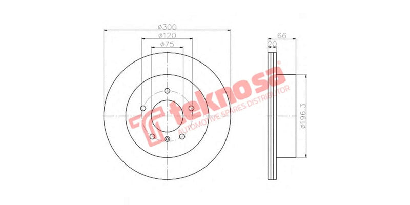 Brake Disc Bmw 3/4 Series (Rv)