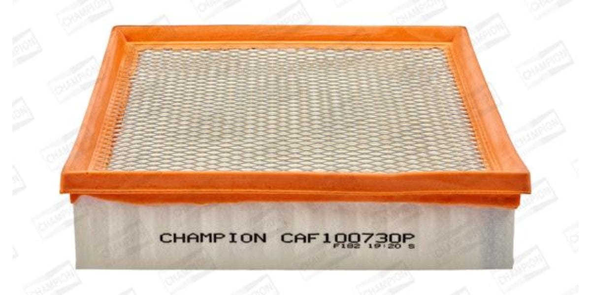 Caf100730P Air Filter Ag1050