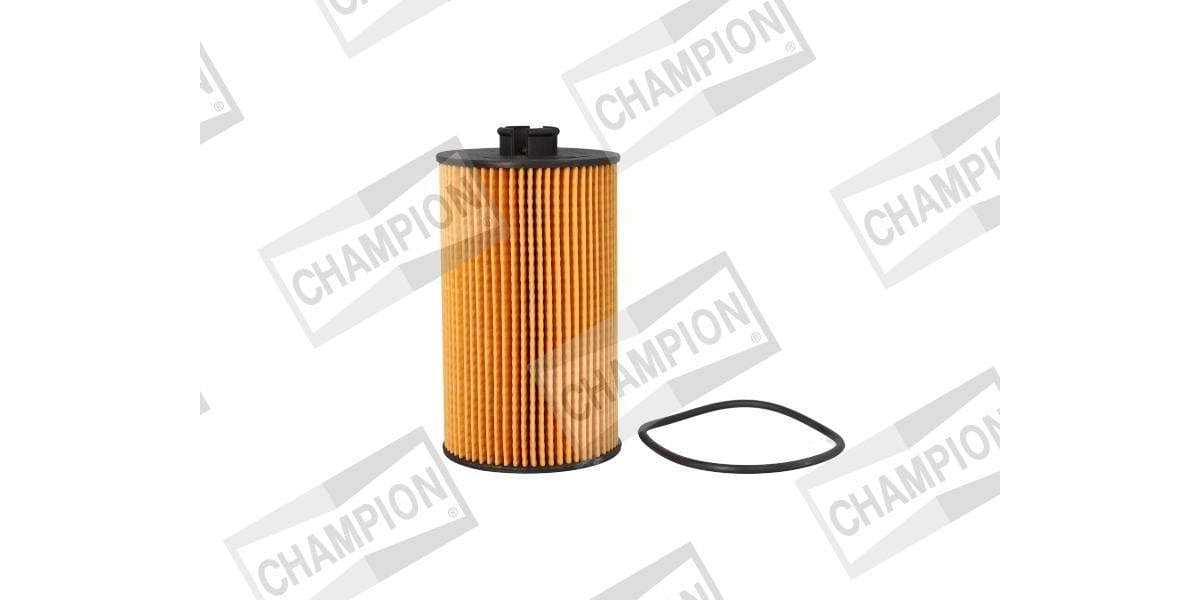 Keep your engine healty with a replacement air, fuel or oil filter. Replacing your cabin or pollen filter can rid you of unpleasant smells inside of oyur car. We sell GUD, FRAM and champion oil filter, air filter, cabin filter and fuel filters.