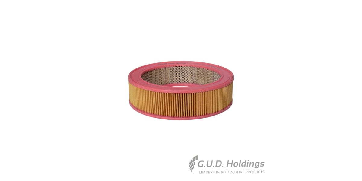 Fram Air Filter CA2646 tools at Modern Auto Parts!