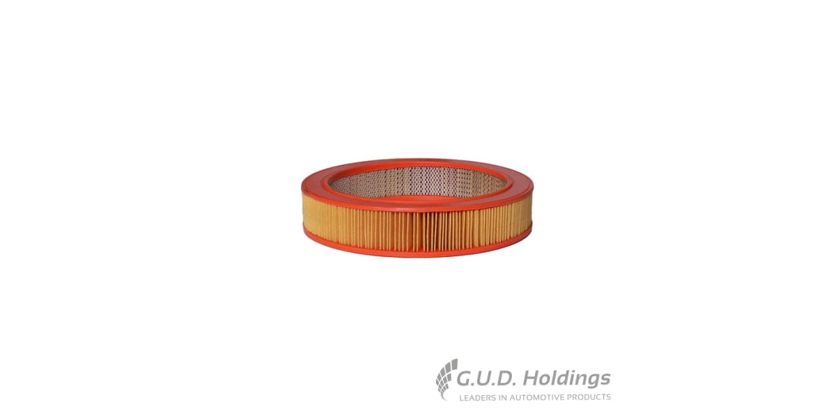 Fram Air Filter Ford Escort 1600 CA2701 tools at Modern Auto Parts!