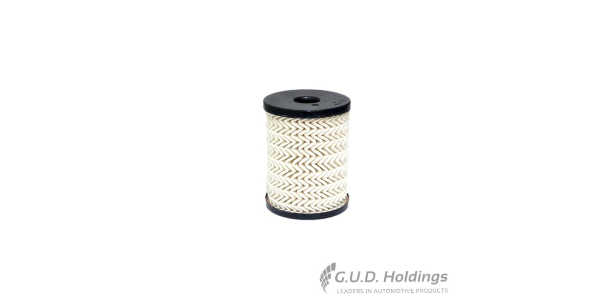 Fram Diesel Filter Free Opel & Opel Commerc C10039ECO tools at Modern Auto Parts!