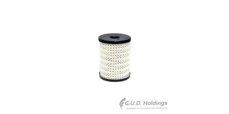 Fram Diesel Filter Free Opel & Opel Commerc C10039ECO tools at Modern Auto Parts!