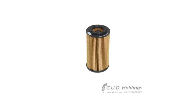 Fram Oil Filter 2.0Fsi & Gti CH9911ECO tools at Modern Auto Parts!