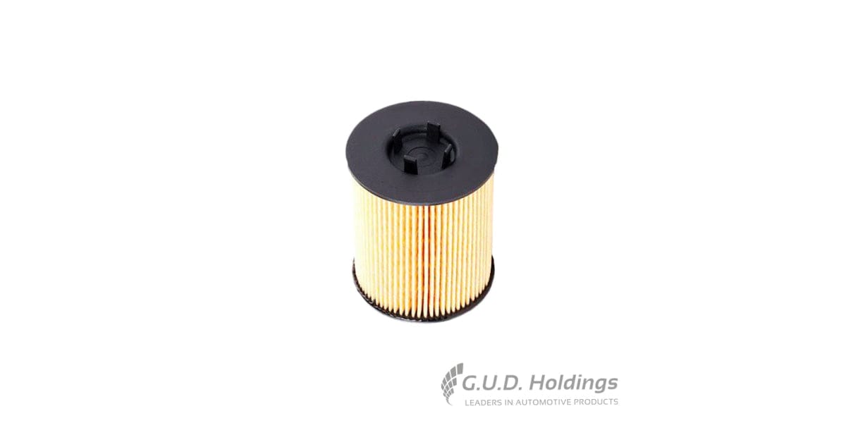 Fram Oil Filter CH5976ECO tools at Modern Auto Parts!