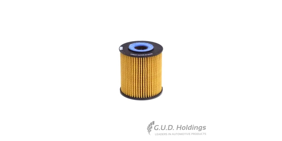 Fram Oil Filter Er CH9348ECO tools at Modern Auto Parts!