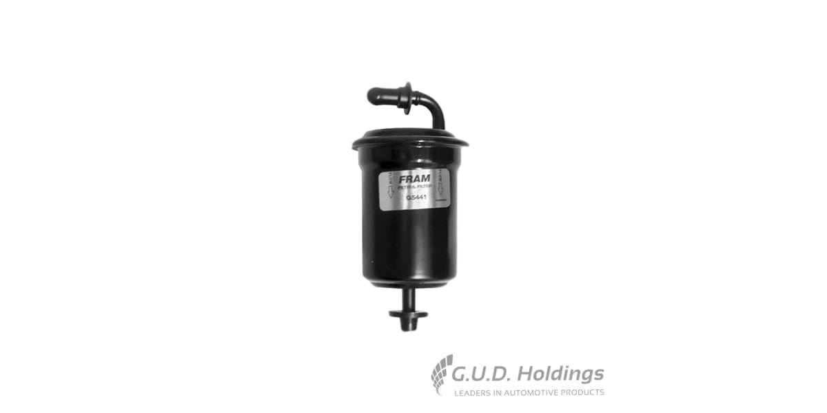 Fram Petrol Filter G5441 tools at Modern Auto Parts!
