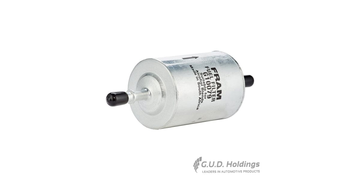 Fram Petrol Filter Isuzu Kb200I 240I 350I G10079 tools at Modern Auto Parts!