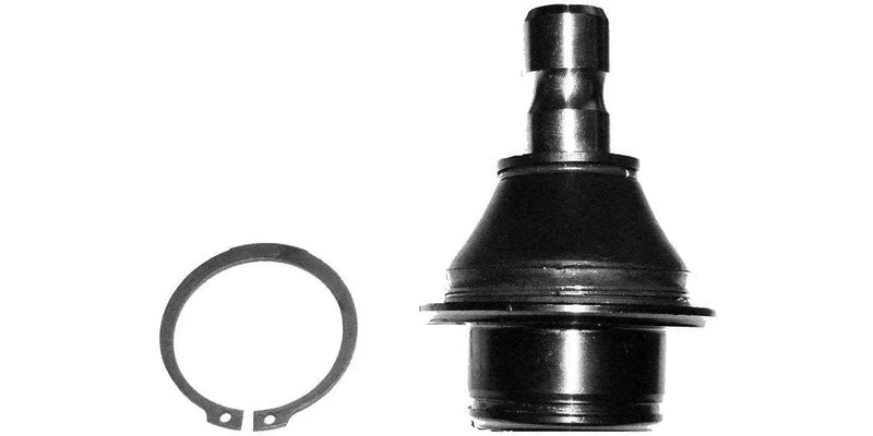 Nissan Navara/Path Front Lower Ball Joint (17240AP)