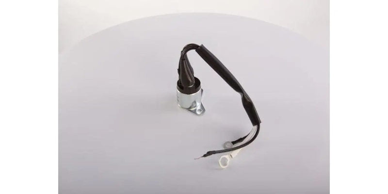 Starter Solenoid 24V Protection Bosch Ev Atego (F042010602)