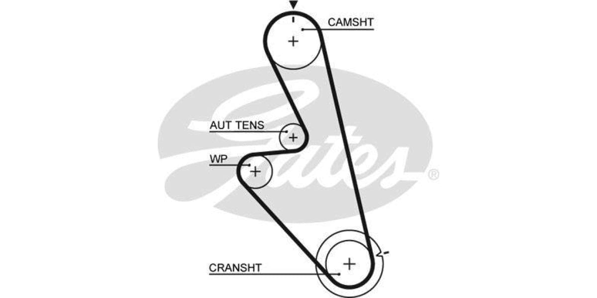 Timing Belt Daewoo Espero,Kb200 (C18Le,C20Le) - Modern Auto Parts
