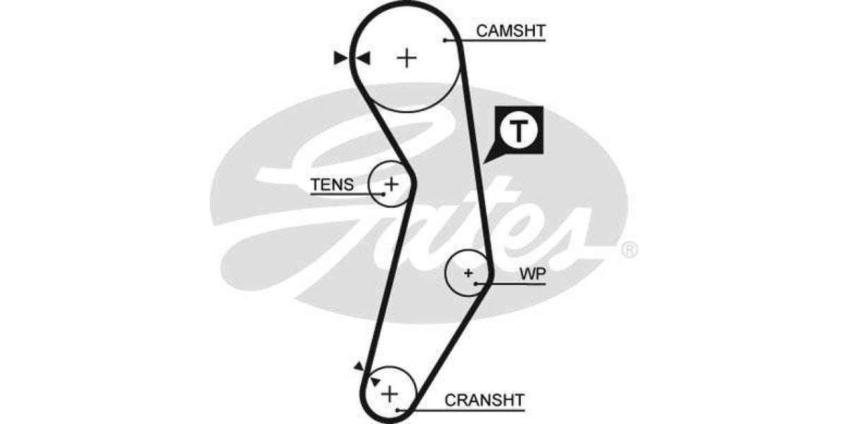Timing Belt Fiat Palio,Siena,Strad (178B5,B7) - Modern Auto Parts