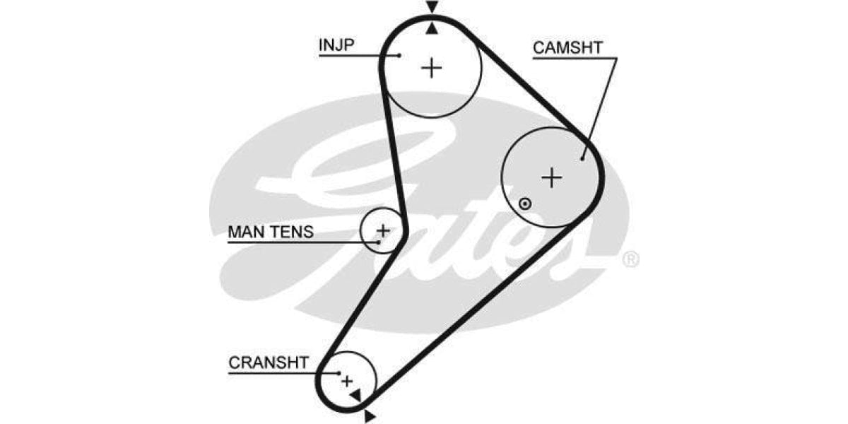 Timing Belt Ford Cortina 1 Ton (D24) - Modern Auto Parts