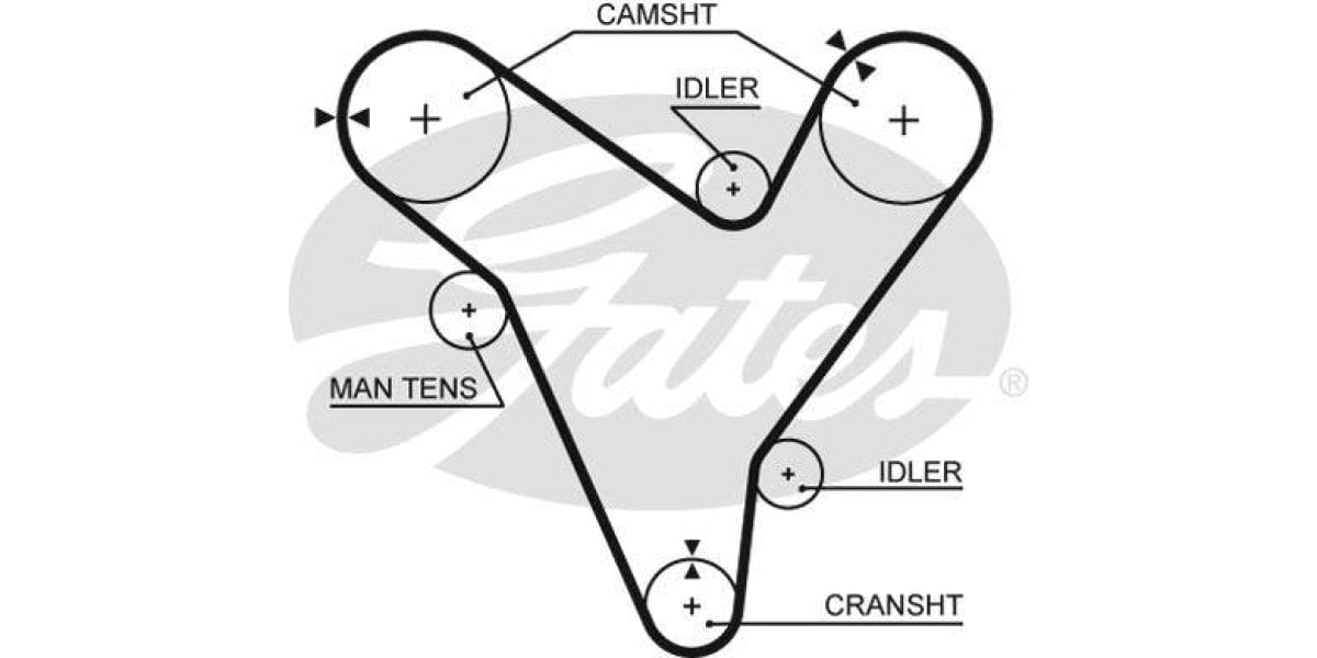 Timing Belt Ford Telstar,Mazda 626 (Kf,Kl) - Modern Auto Parts
