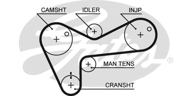 Timing Belt Isuzu Frontie,Trooper,Kb250D,Kb280Dt (4Jb1T,4Ja1) - Modern Auto Parts