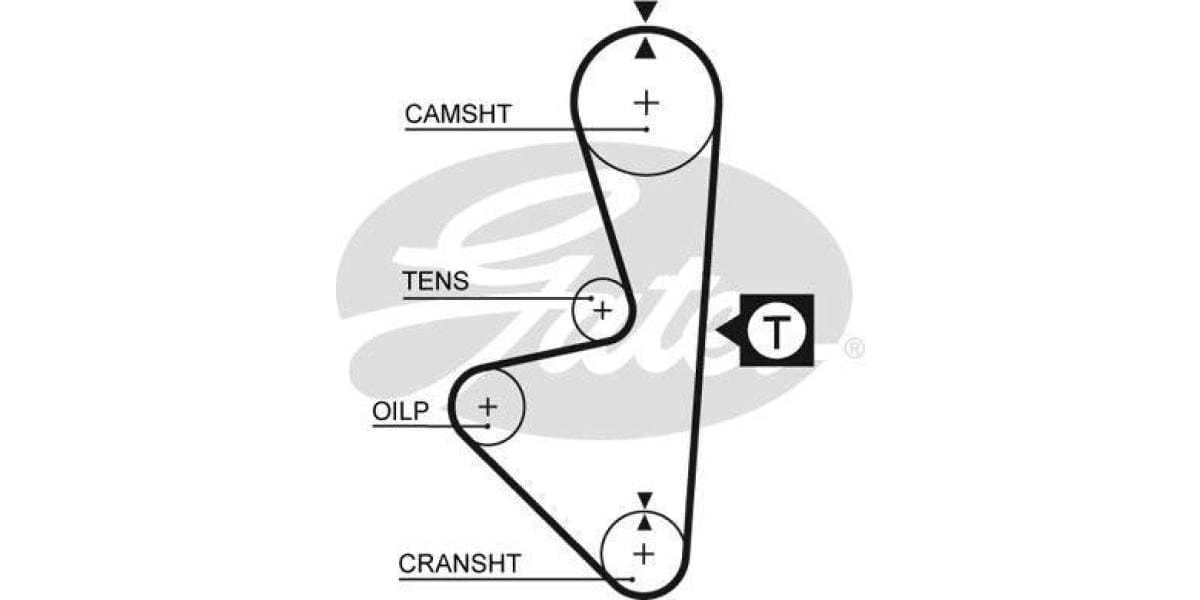 Timing Belt Isuzu Kb260 (4Ze1) - Modern Auto Parts
