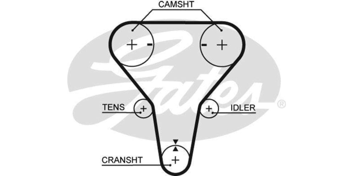 Timing Belt Mazda Etude (B6D,Zm) - Modern Auto Parts