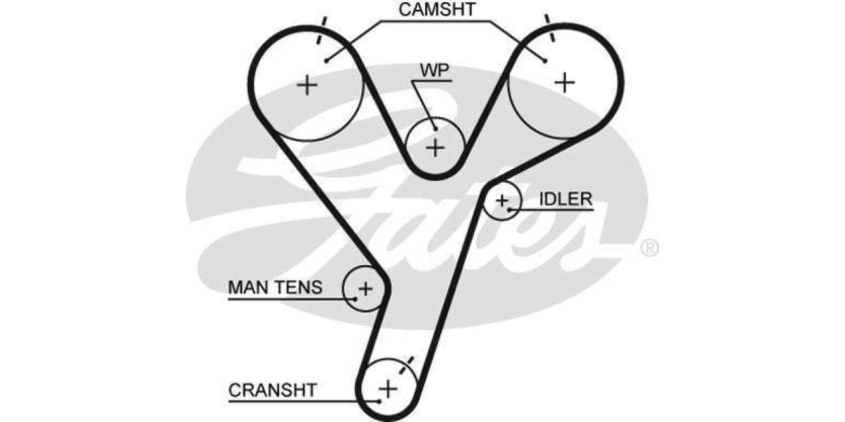 Timing Belt Mitsubishi Pajero 3.0 V 6G72 - Modern Auto Parts