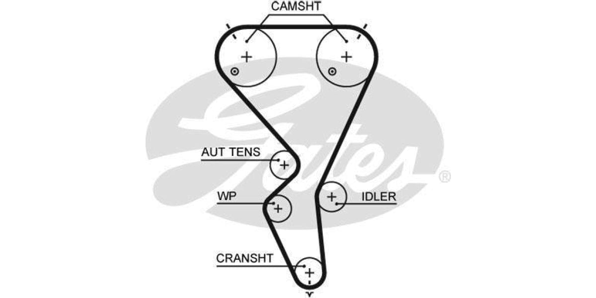 Timing Belt Peugeot 206 1.4 X-Line Et3J4, 207 - Modern Auto Parts