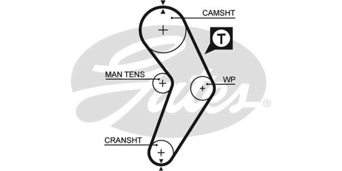 Timing Belt Renault Megane (K7M702) - Modern Auto Parts