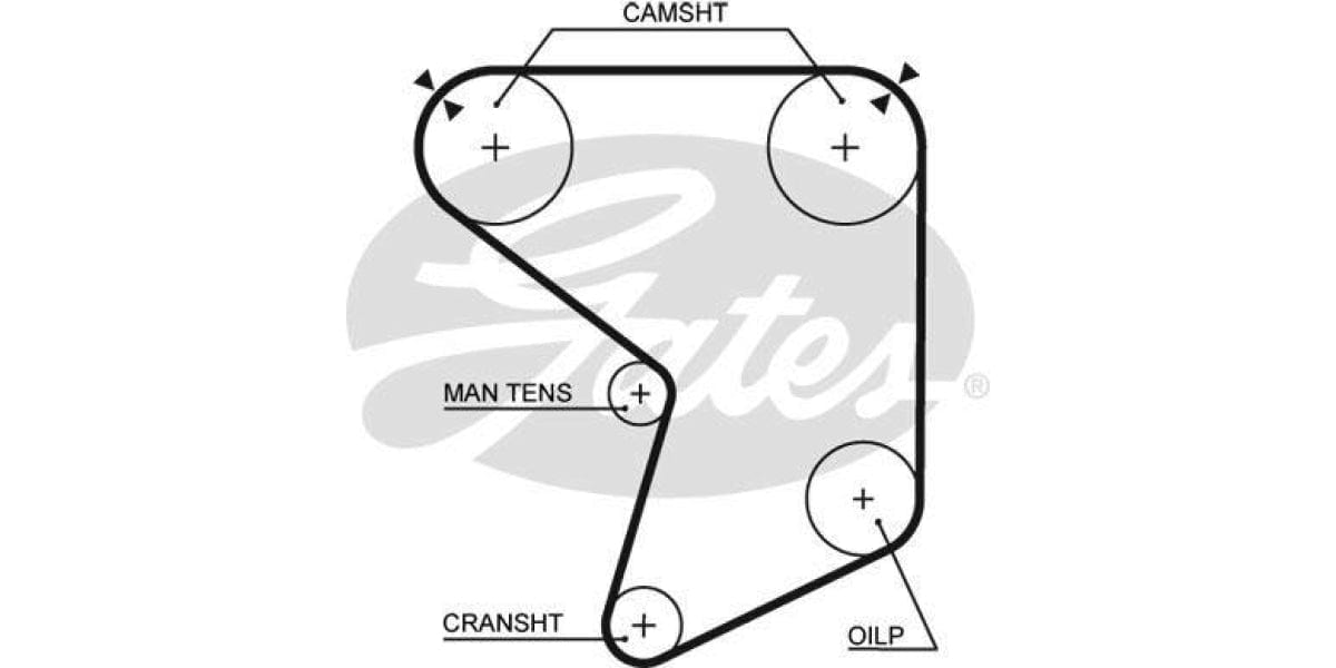 Timing Belt Toyota Cressida 2.8I 5M-Ge - Modern Auto Parts