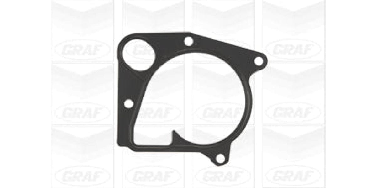 Water Pump Bmw 320D M47N (Pa965)