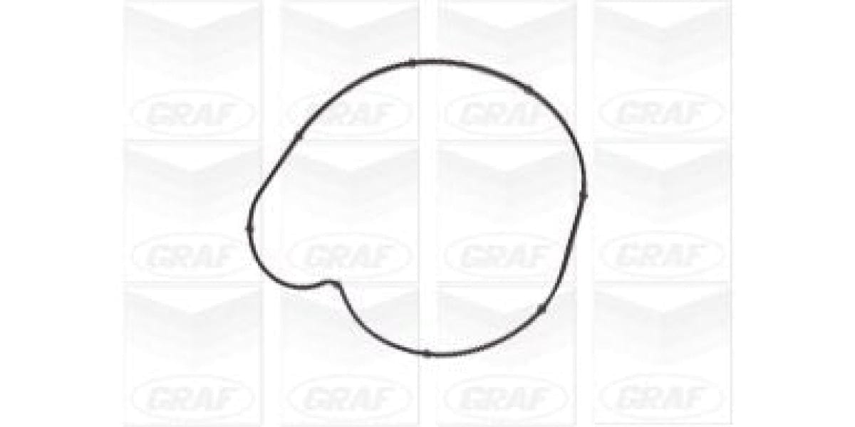 Water Pump Mercedes Benz C200K 271 (Pa1107)