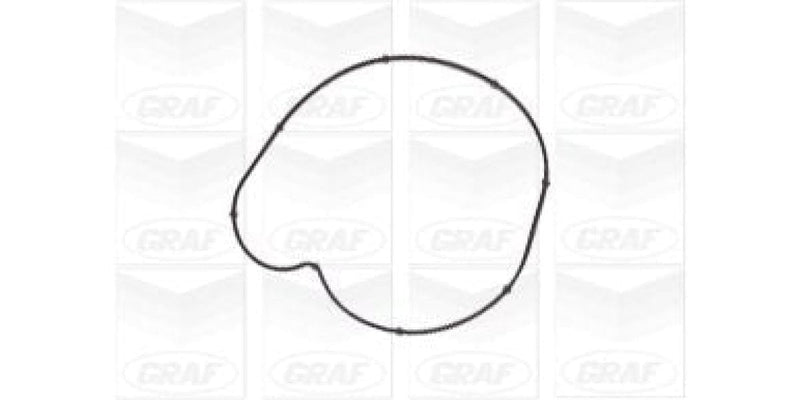 Water Pump Mercedes Benz C200K 271 (Pa1107)