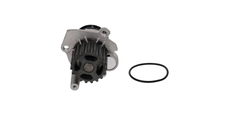 Water Pump Vw Polo 6N Am (Wp83796N) at Modern Auto Parts!