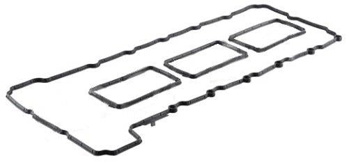 Gasket Valve Cover  Bmw E81,E82,F20,F22,E90,F30,X3,X4.X5,X6 N55 (431445Hp)